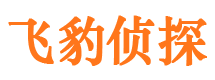 长安私家调查公司